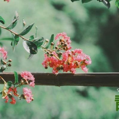 乱煮江湖无限版下载